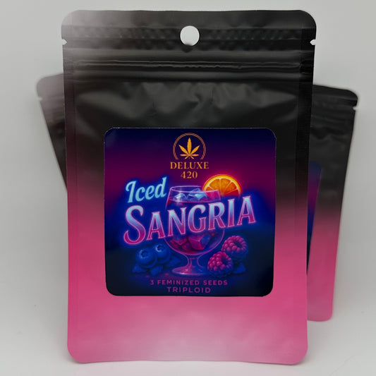 iced sangria seedpack, schwarz pink, 3 feminzed seeds, triploid