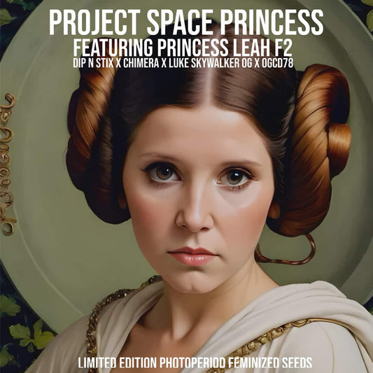 Bay Area Princess 3-Pack